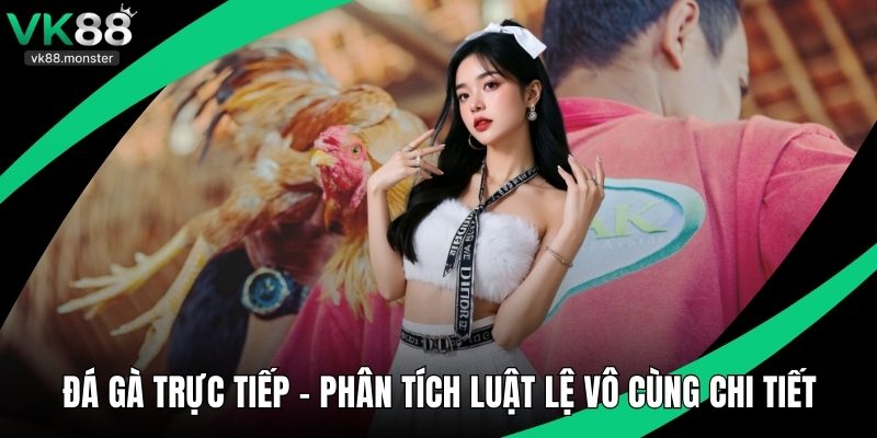 Đá Gà Trực Tiếp - Phân Tích Luật Lệ Vô Cùng Chi Tiết